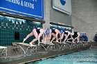 Swimming vs Babson  Wheaton College Swimming & Diving vs Babson College. - Photo By: KEITH NORDSTROM : Wheaton, Swimming